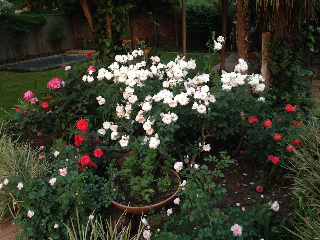 Anne'S Place Potchefstroom Exterior photo